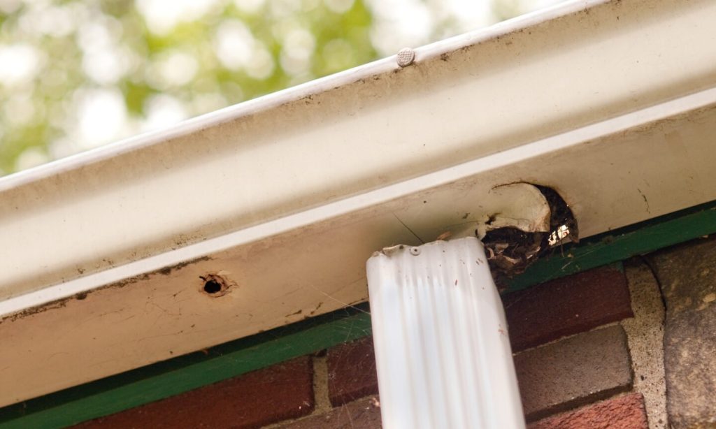 How Much Do Gutters Cost?