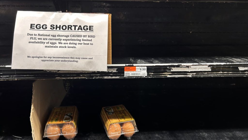 Wholesale egg prices have ‘blown way past’ prior record