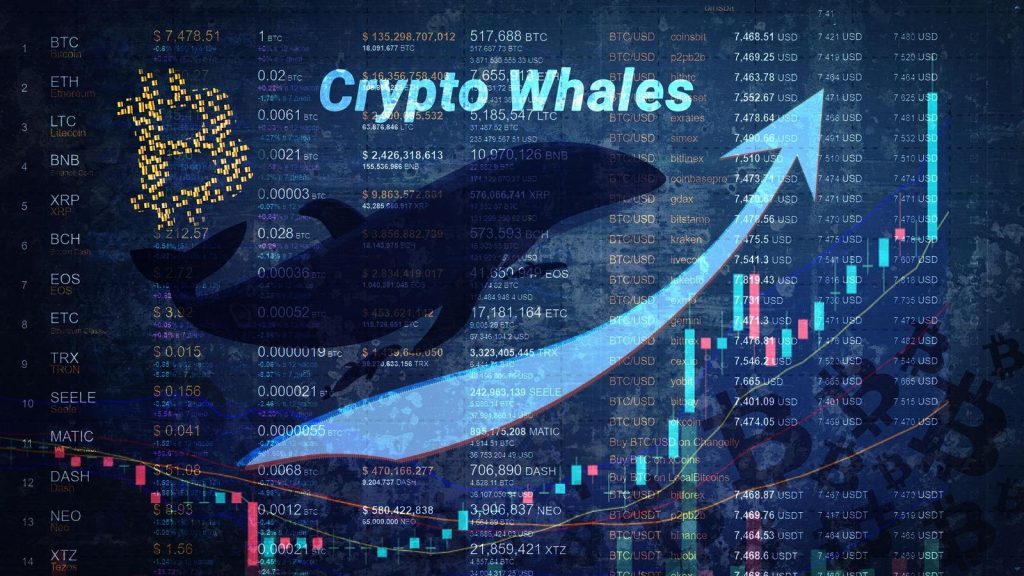 Crypto Whale Profits .8 Million Off Trump’s Crypto Reserve News