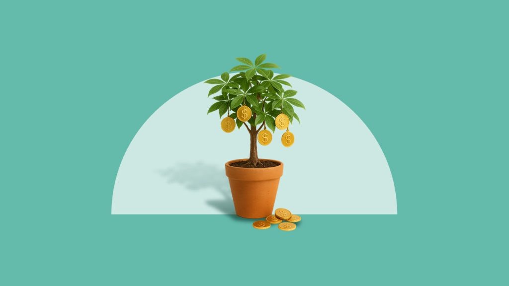 Make your money work: How dividend stocks can boost your returns