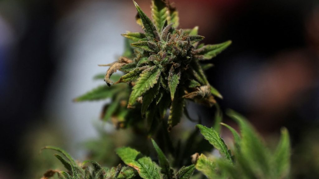 Stocks making the biggest moves premarket: IRBT, LVS, TLRY Stocks making the biggest moves premarket: IRBT, LVS, TLRY