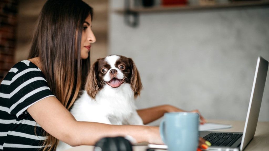 Micro-investing: What it is and how to get started Micro-investing: What it is and how to get started